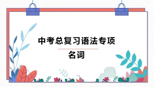 中考英语总复习语法专项名词课件