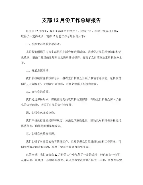 支部12月份工作总结报告
