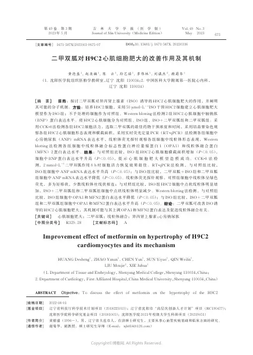 219415347_二甲双胍对H9C2_心肌细胞肥大的改善作用及其机制