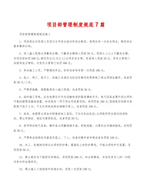 项目部管理制度规范7篇