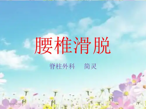 腰椎滑脱 幻灯片PPT课件