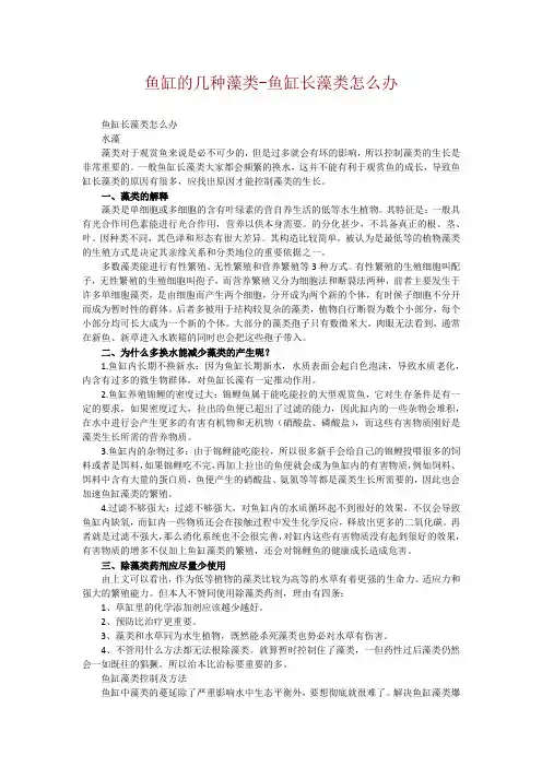 鱼缸的几种藻类-鱼缸长藻类怎么办