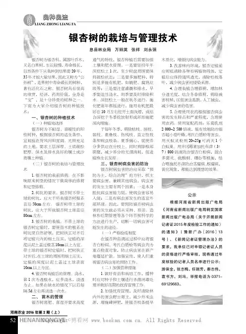 银杏树的栽培与管理技术