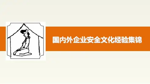 国内外安全文化