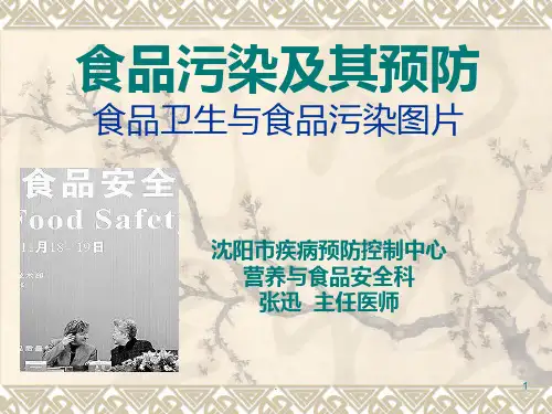 食品污染及其预防食品卫生与食品污染图片ppt课件