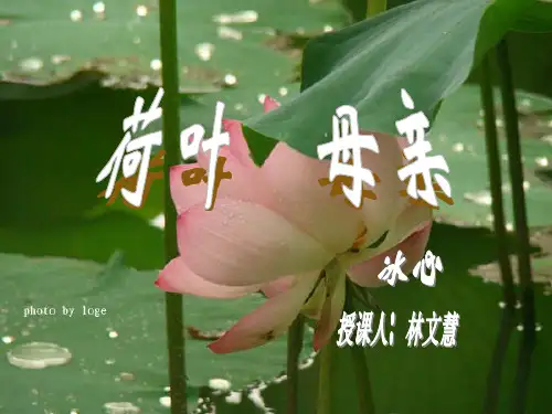 冰心简介(1900—1999)现代散文家、小说家、诗人、儿童