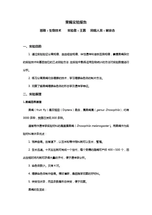 果蝇实验报告