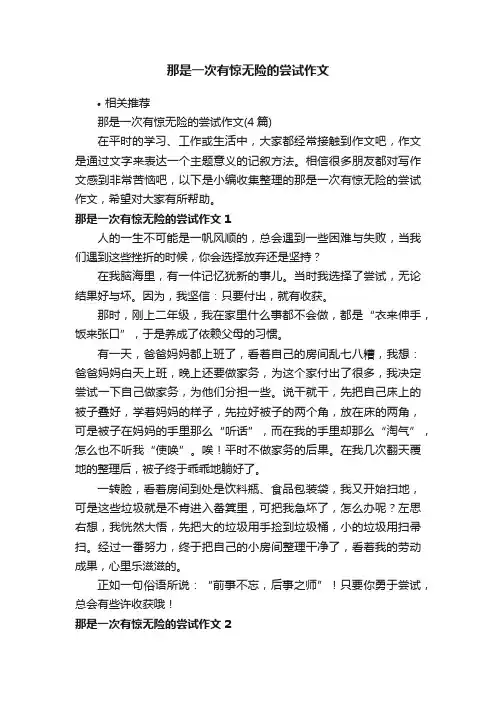 那是一次有惊无险的尝试作文