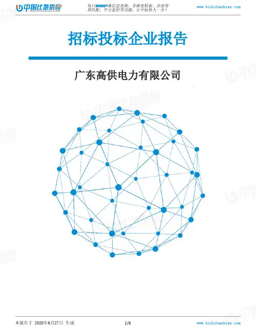 广东高供电力有限公司-招投标数据分析报告