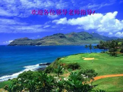 有机合成材料PPT课件30 人教版