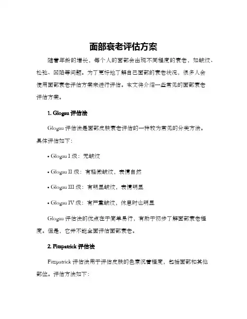 面部衰老评估方案