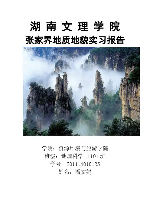 【VIP专享】张家界地质地貌野外实习报告