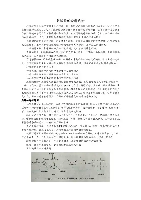 生物化学7 脂类代谢与合成