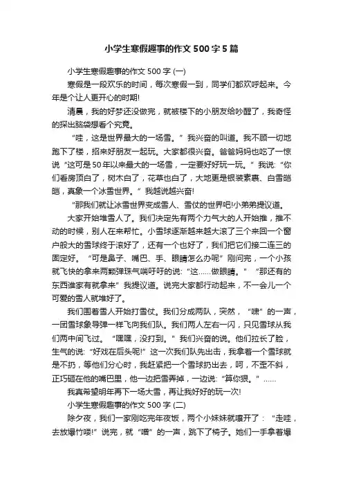 小学生寒假趣事的作文500字5篇