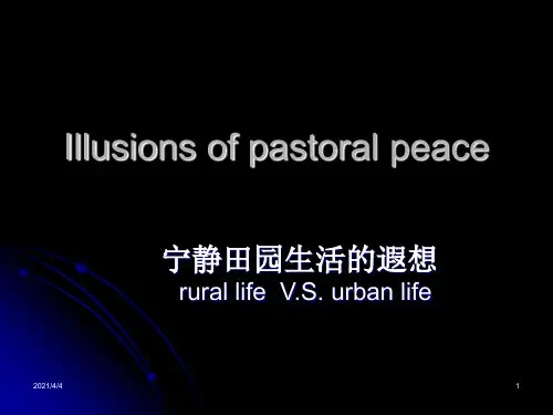 新概念2精品课件Lesson41