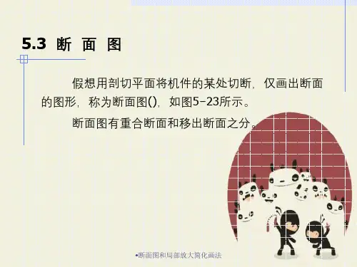 断面图和局部放大简化画法