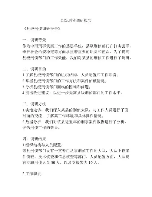 县级刑侦调研报告
