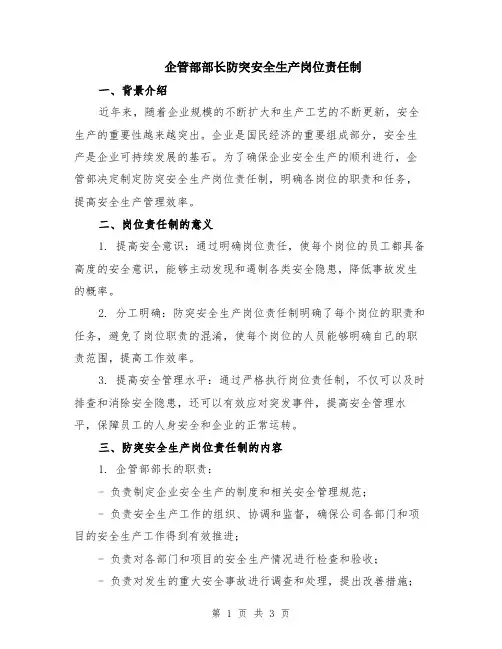 企管部部长防突安全生产岗位责任制