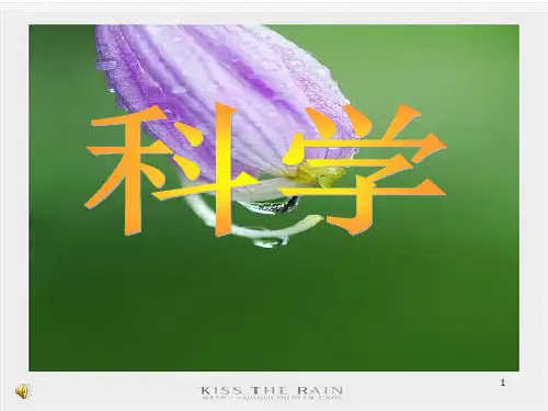 小学科学三年级上册《水和食用油的比较》ppt课件