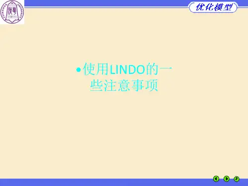 使用LINDO的一些注意事项