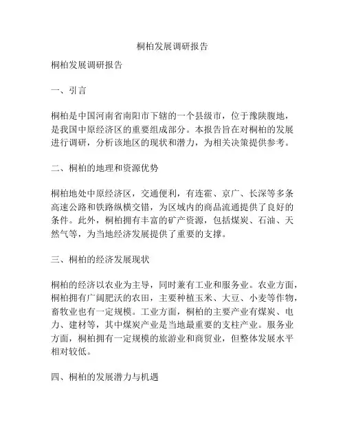 桐柏发展调研报告