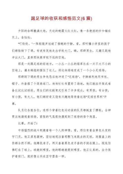 踢足球的收获和感悟范文(6篇)