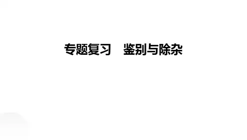 2024年中考化学专题复习 鉴别与除杂