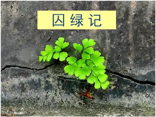 3《囚绿记》课件16张  人教版高中语文必修二
