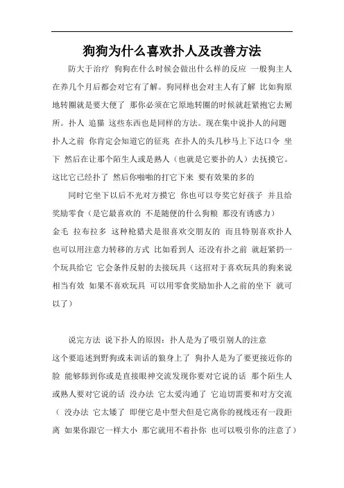 狗狗为什么喜欢扑人及改善方法