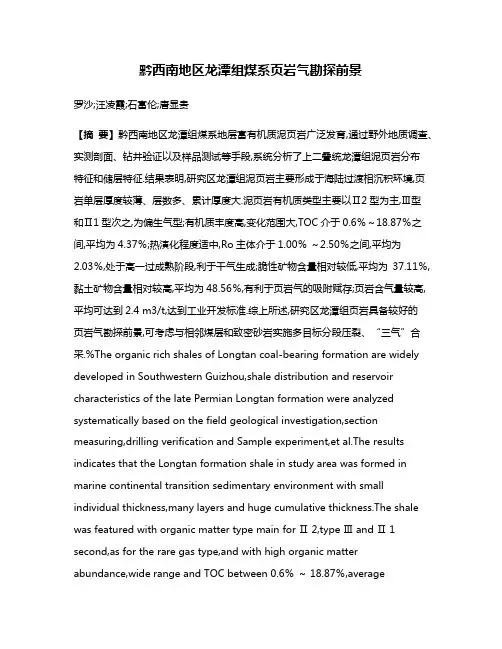 黔西南地区龙潭组煤系页岩气勘探前景