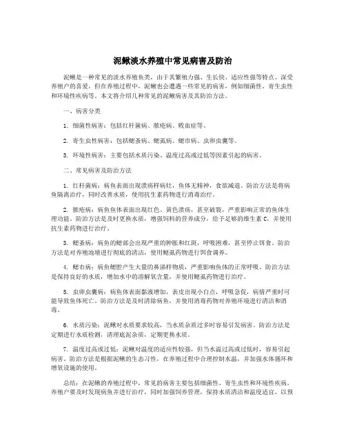 泥鳅淡水养殖中常见病害及防治