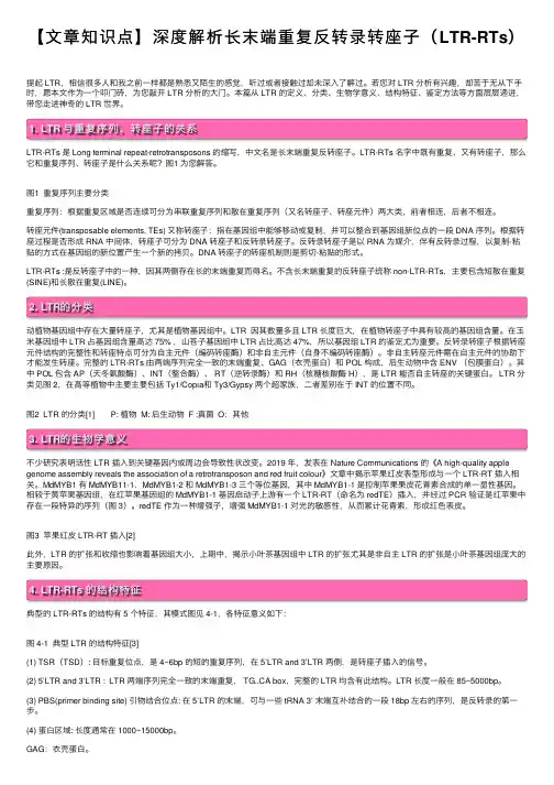 【文章知识点】深度解析长末端重复反转录转座子（LTR-RTs）