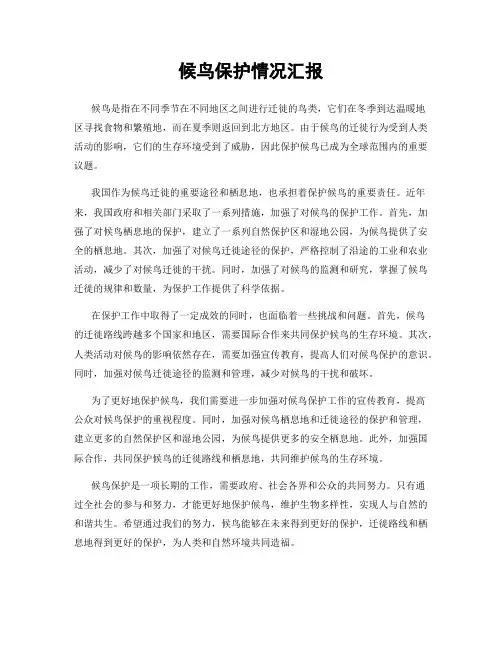 候鸟保护情况汇报