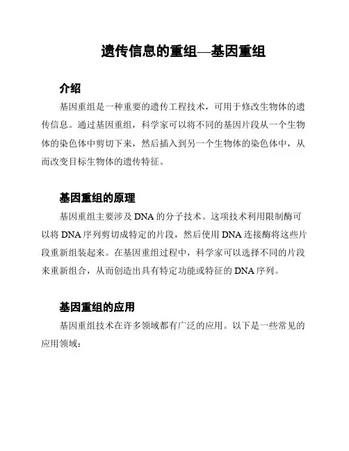 遗传信息的重组—基因重组