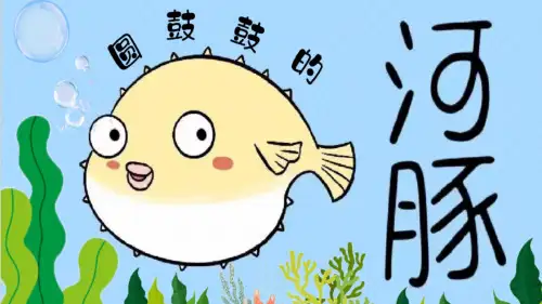 5-7岁《圆鼓鼓的河豚》美术教学PPT课件