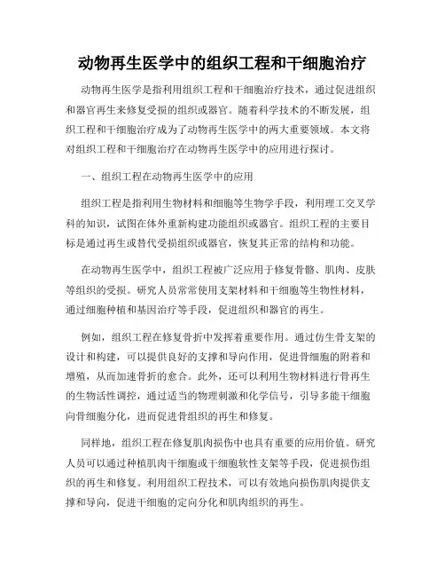 动物再生医学中的组织工程和干细胞治疗