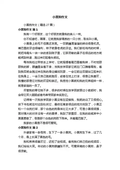 小黑狗作文（精选27篇）