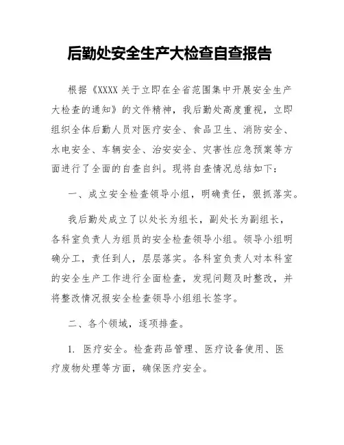 后勤处安全生产大检查自查报告