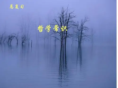 【高中政治】哲学常识ppt精品课件