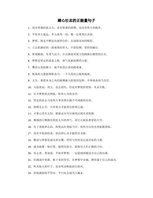 雄心壮志的正能量句子