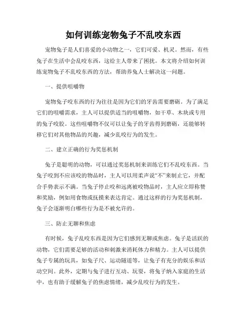 如何训练宠物兔子不乱咬东西