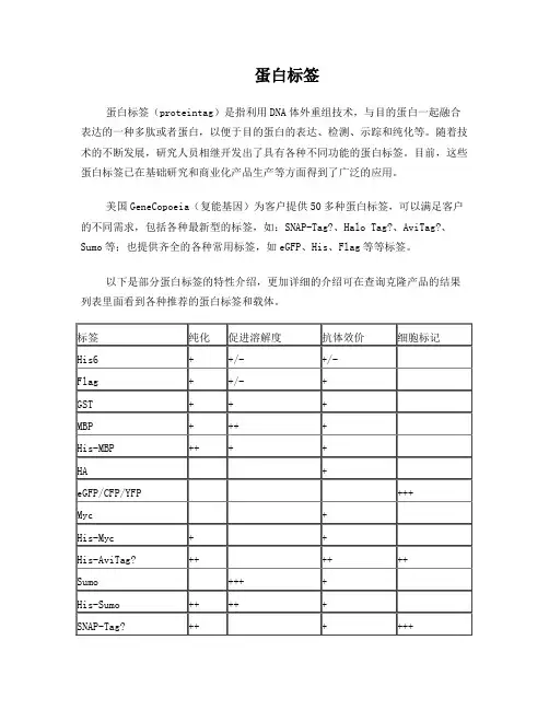 常见tag蛋白标签介绍