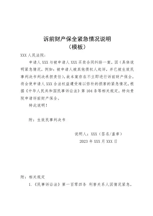 诉前财产保全紧急情况说明模板