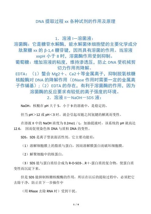 DNA提取过程中各种试剂的作用及原理