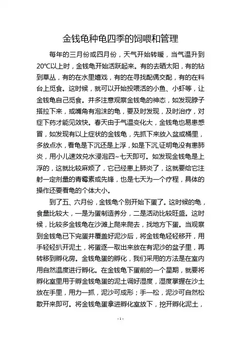金钱龟种龟四季的饲喂和管理