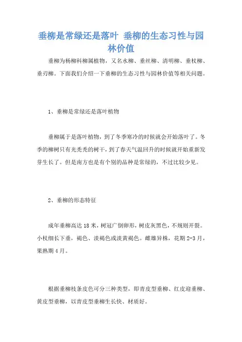 垂柳是常绿还是落叶 垂柳的生态习性与园林价值
