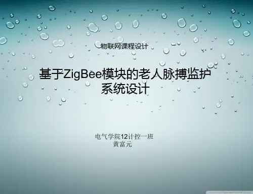 老人监护系统(ppt)