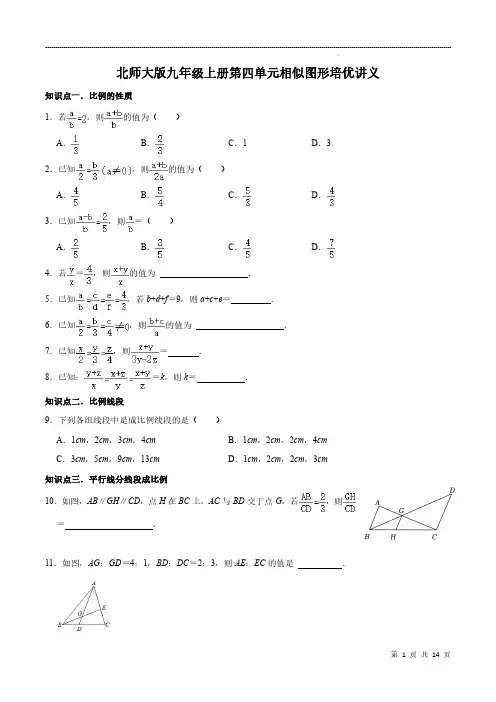 第四章  相似图形  培优讲义  2024--2025学年北师大版九年级数学上册