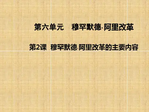 穆罕默德阿里改革的主要内容课件