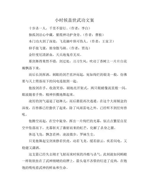 小时候盖世武功文案